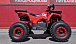 Квадроцикл PROMAX WILD 175 BASIC в Геленджике