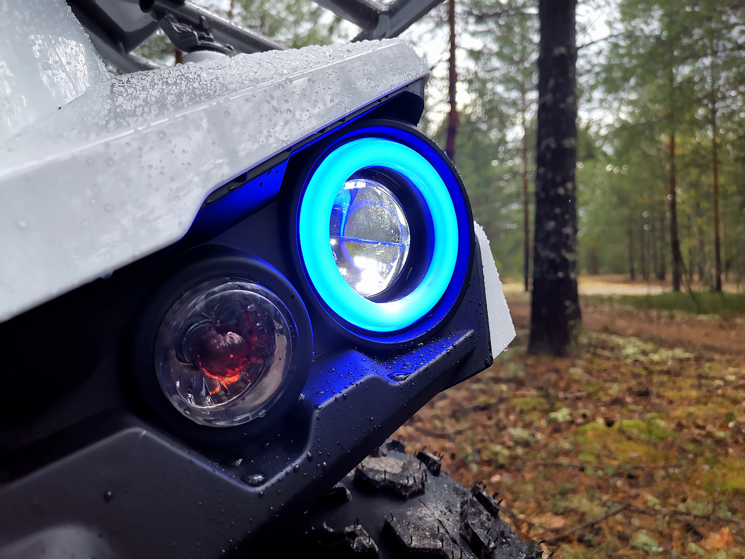 Квадроцикл PROMAX RENEGADE 280 (2025) в Геленджике