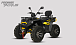 Квадроцикл PROMAX TAURUS 300 MAX-PRO LONG в Геленджике