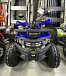 Квадроцикл PROMAX WILD 2.0 190 PRO (2025) в Геленджике